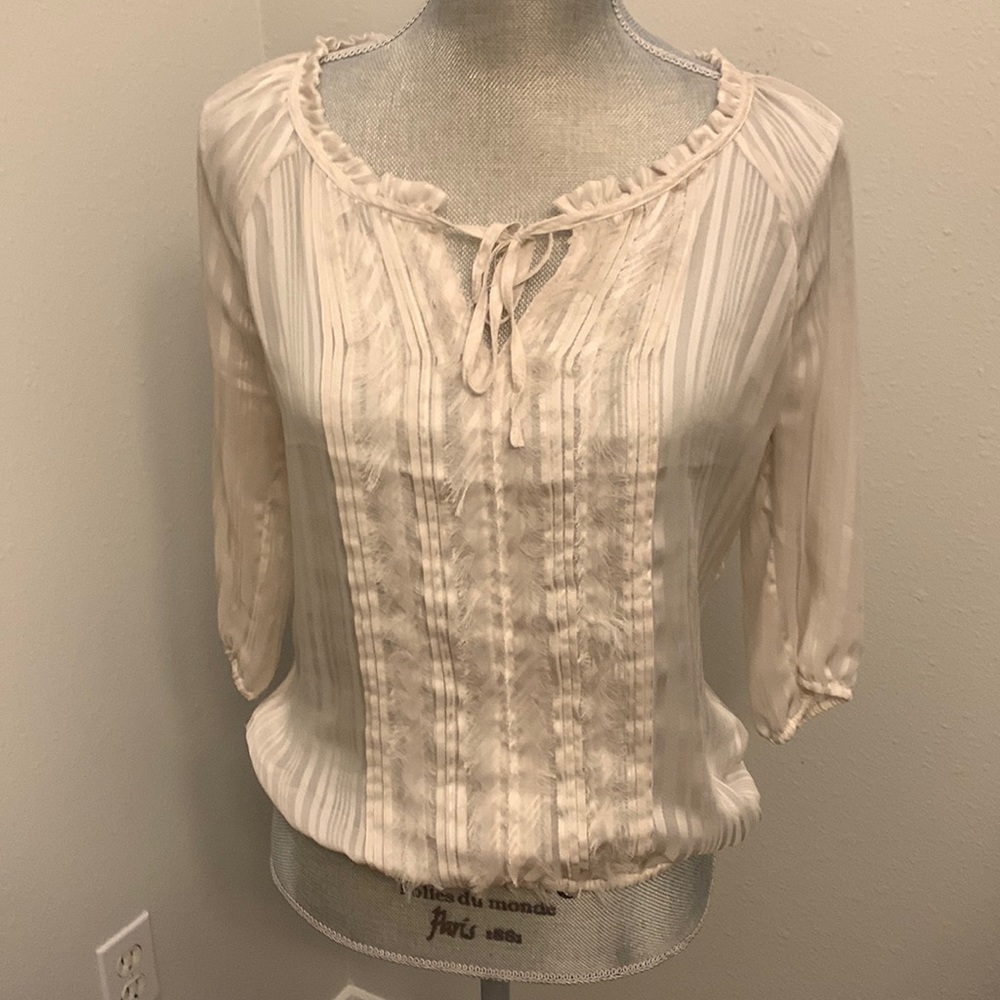 Express | Sheer Shimmer Cream Blouse Top
